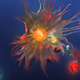 Illustration for article titled GE's "Point and Shoot" Microscope Snaps Spectacular Cellular Shots